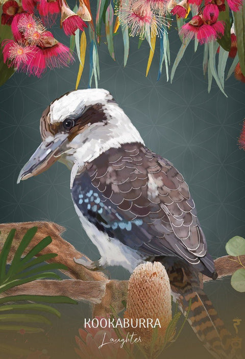 Blue Angel: Wild Wisdom Australia Oracle kortos - HOBI.LT 🇱🇹