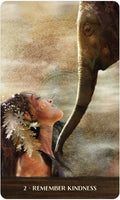 US Games Systems: Wild woman rising Oracle kortos - HOBI.LT 🇱🇹