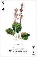 US Games Systems: Wildflowers Of The Natural World žaidimų kortos - HOBI.LT 🇱🇹