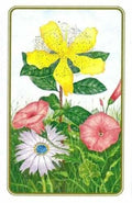 US Games Systems: Wildflowers Of The Natural World žaidimų kortos - HOBI.LT 🇱🇹
