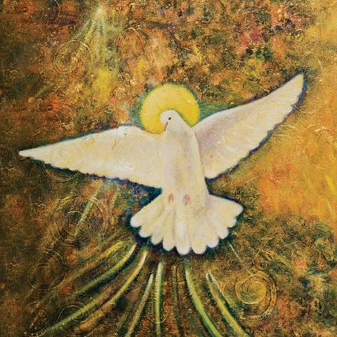 Blue Angel: Wisdom of Gaia knyga Blue Angel - HOBI.LT 🇱🇹