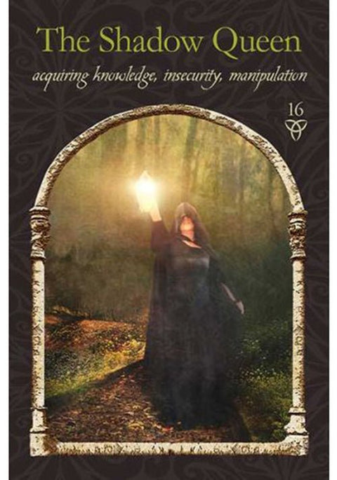 Knyga The Shadow Queen – priekinis viršelis su gaubtuotu siluetu, laikant žibintą miške, tamsūs tonai ir auksinis rėmas