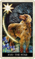 US Games Systems: Wise Dog Tarot kortos - HOBI.LT 🇱🇹