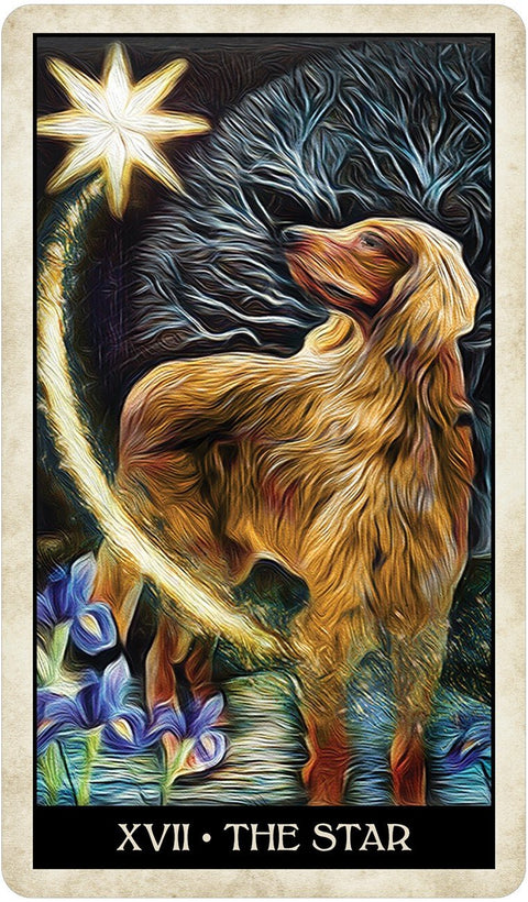 US Games Systems: Wise Dog Tarot kortos - HOBI.LT 🇱🇹