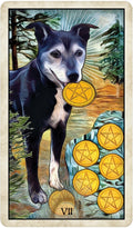 US Games Systems: Wise Dog Tarot kortos - HOBI.LT 🇱🇹