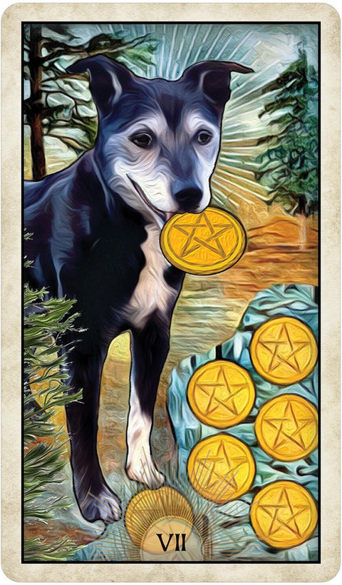 US Games Systems: Wise Dog Tarot kortos - HOBI.LT 🇱🇹