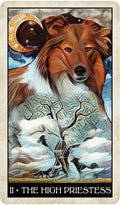 US Games Systems: Wise Dog Tarot kortos - HOBI.LT 🇱🇹