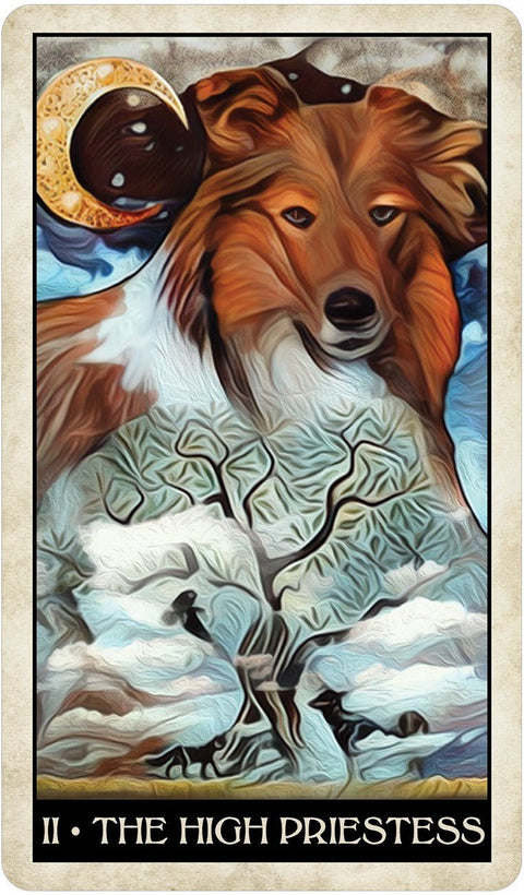 US Games Systems: Wise Dog Tarot kortos - HOBI.LT 🇱🇹