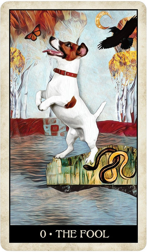 US Games Systems: Wise Dog Tarot kortos - HOBI.LT 🇱🇹