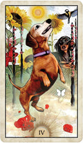 US Games Systems: Wise Dog Tarot kortos - HOBI.LT 🇱🇹