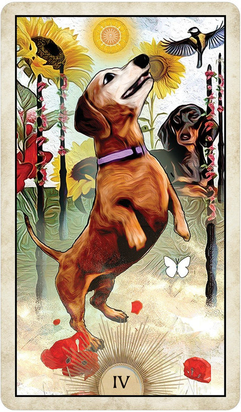 US Games Systems: Wise Dog Tarot kortos - HOBI.LT 🇱🇹