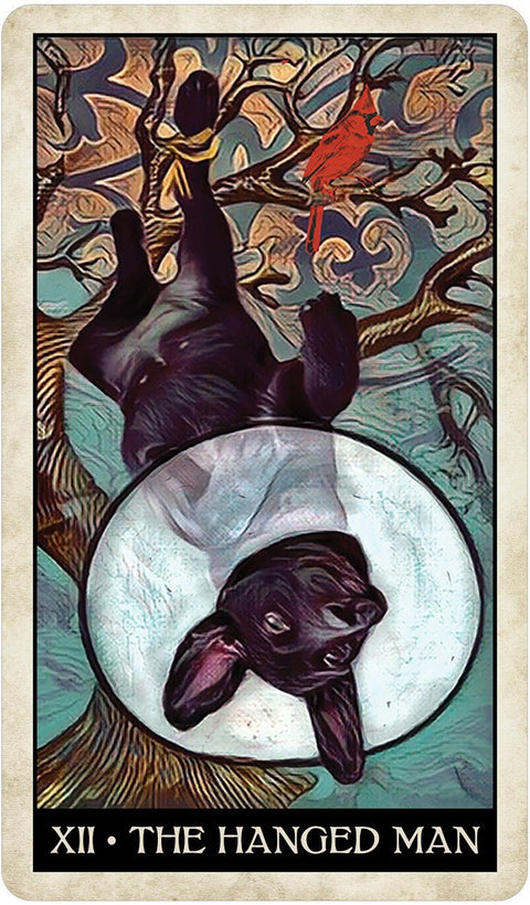 US Games Systems: Wise Dog Tarot kortos - HOBI.LT 🇱🇹