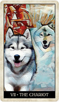 US Games Systems: Wise Dog Tarot kortos - HOBI.LT 🇱🇹