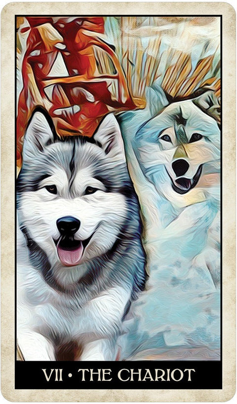 US Games Systems: Wise Dog Tarot kortos - HOBI.LT 🇱🇹