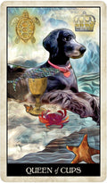 US Games Systems: Wise Dog Tarot kortos - HOBI.LT 🇱🇹
