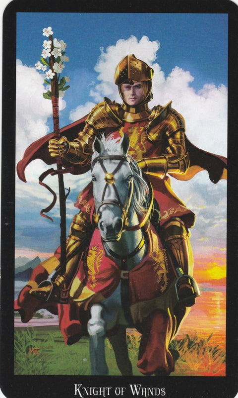 Llewellyn: Witches Tarot Kortos - HOBI.LT 🇱🇹