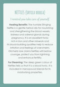 Animal Dreaming: Womb Medicine Healing kortos - HOBI.LT 🇱🇹