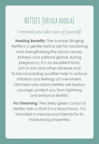Animal Dreaming: Womb Medicine Healing kortos - HOBI.LT 🇱🇹