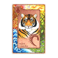 Animal Dreaming: World Oracle kortos - HOBI.LT 🇱🇹