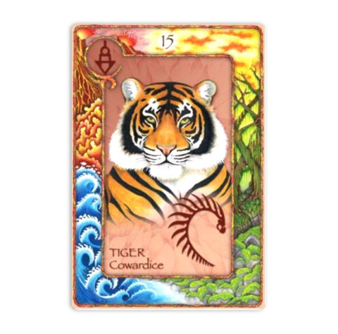 Animal Dreaming: World Oracle kortos - HOBI.LT 🇱🇹