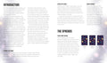 tarot knyga — trijų kortų sklaidos iliustracija su tamsiu žvaigždėtu fonu ir žymėmis Praeitis, Dabartis, Ateitis