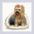 RIOLIS: Yorkshire Terrier. Siuvinėjimo rinkinys iš RIOLIS Nr.: 2152 - HOBI.LT 🇱🇹