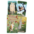 Enchanted Forest Felines tarot kortų rinkinys — iliustruota dėžutė su pakuote ir keturios skirtingos katų iliustracijos ant kortų