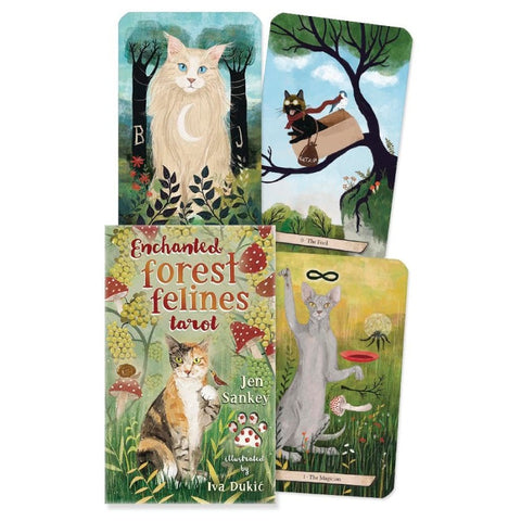 Enchanted Forest Felines tarot kortų rinkinys — iliustruota dėžutė su pakuote ir keturios skirtingos katų iliustracijos ant kortų