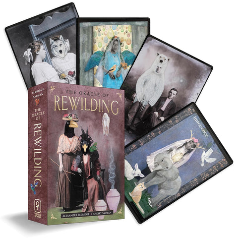 The Oracle of Rewilding orakulo kortos – gyvūnų išminties galia