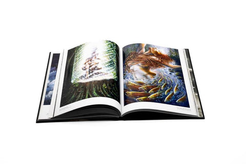Autumn Skye meno albumas: vizionieriška anglų knyga, kietas viršelis, 156 psl.